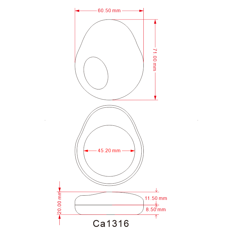 Ca1316-4.png